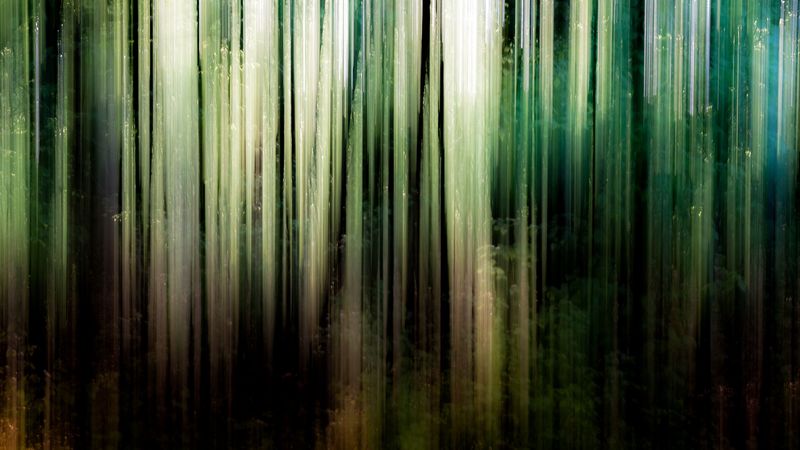 abstraction, stains, trees, spring, 4k