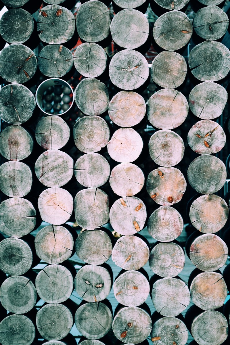 a pile of equal sized sawn logs neatly stacked on top of each other, who said city streets cant be beautiful 4k
