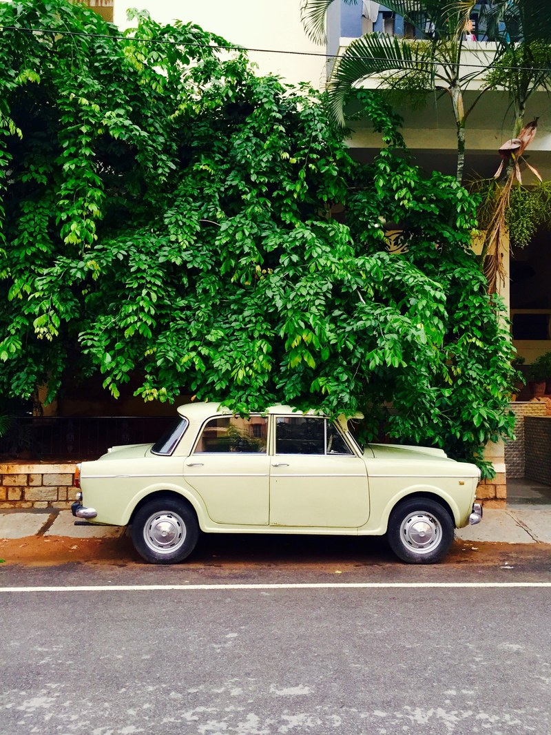 retro cream colored car parked on pavement under overgrown tree in bengaluru, retro cream car in bengaluru 4k