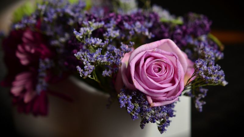 rose, bouquet, composition, 4k