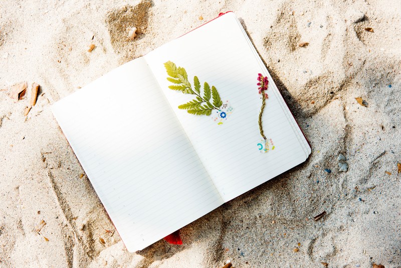 an open notebook with small flowers and leaves taped to the page on fine sand, pressed flower notebook 4k