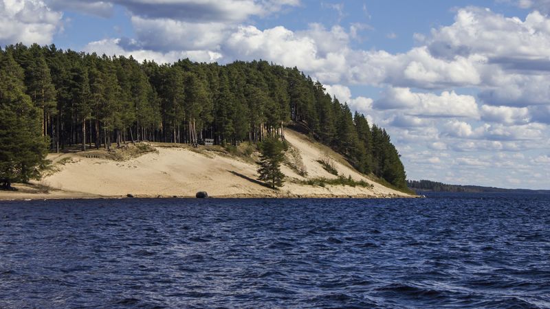 lake, trees, coast, sky, 4k