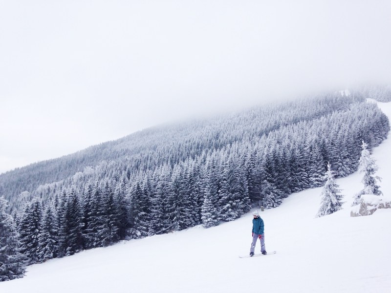snowboarding on a snowy slope alongside a thick patch of trees, snowboarding alongside trees 4k