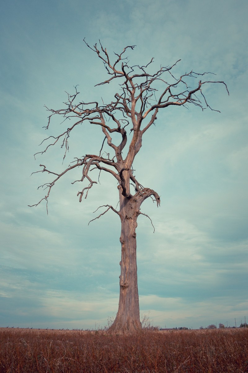 nothing left 4k