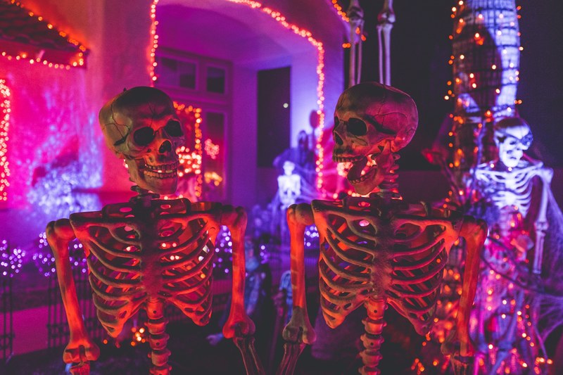 skeleton lights skull and haunted house 4k
