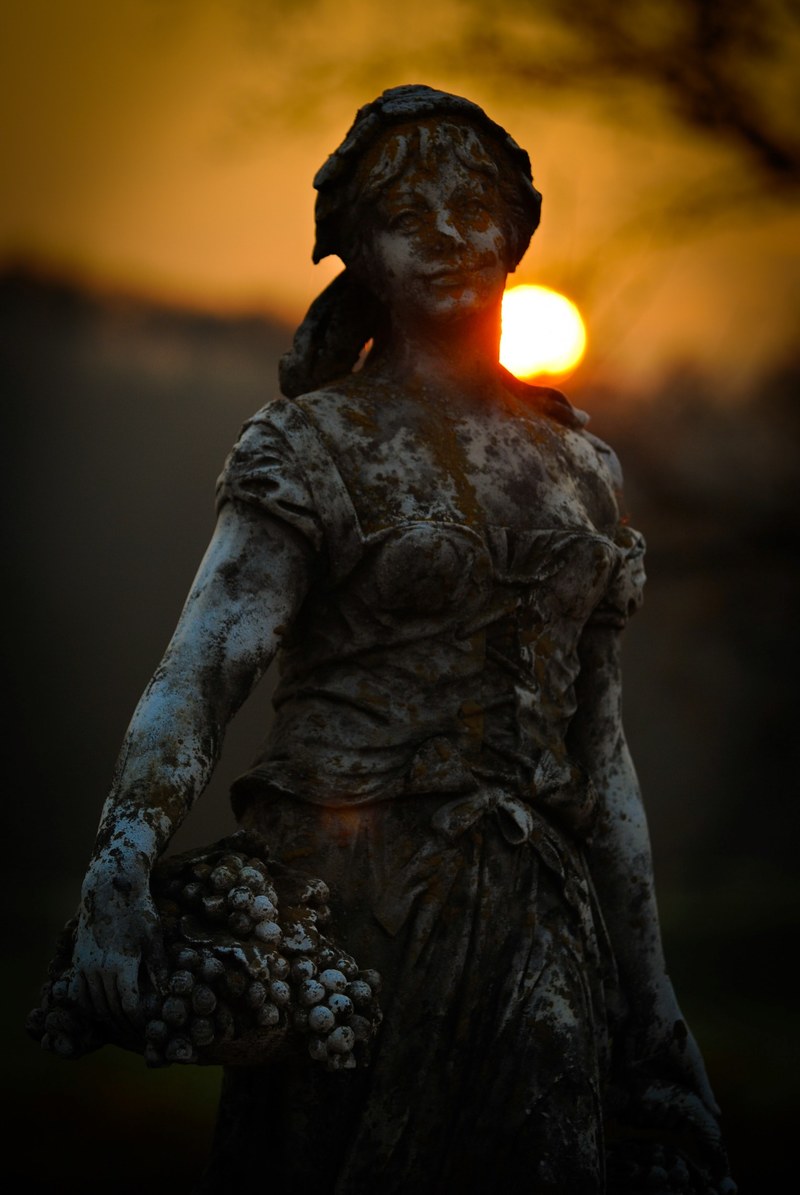 silhouette of a history 4k