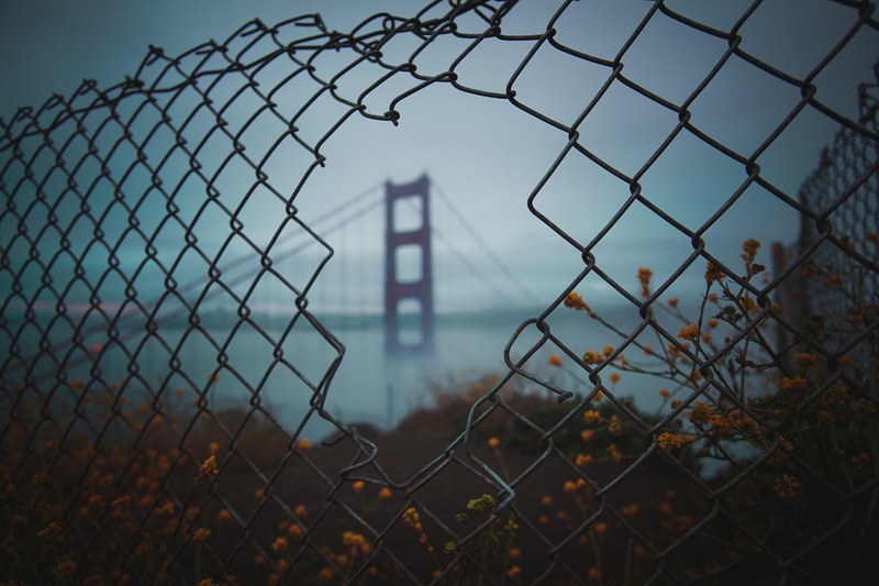 golden gate bridge wrapped in fog and framed by bushes and a chain link fence with a hole in it, focal point 4k