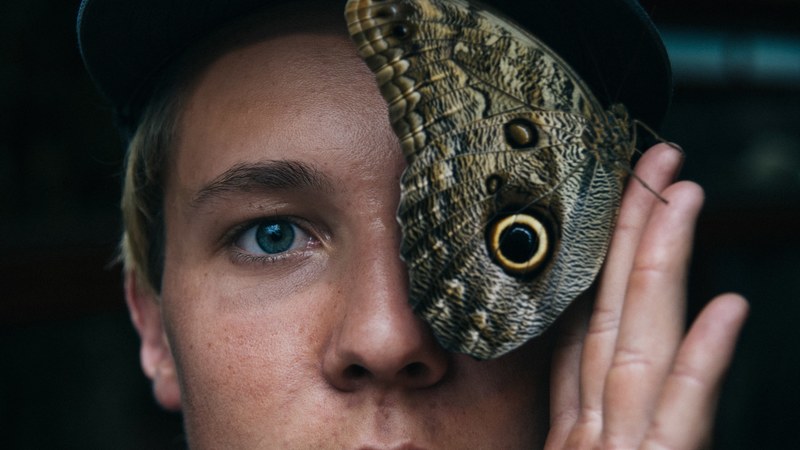a large butterfly in a persons hand covering one of their eyes, _butterfly eye 4k