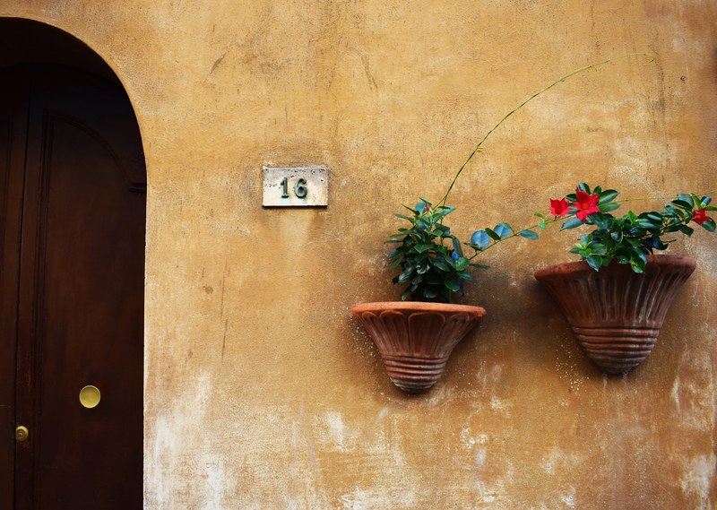 address home exterior house exterior and wall flower 4k