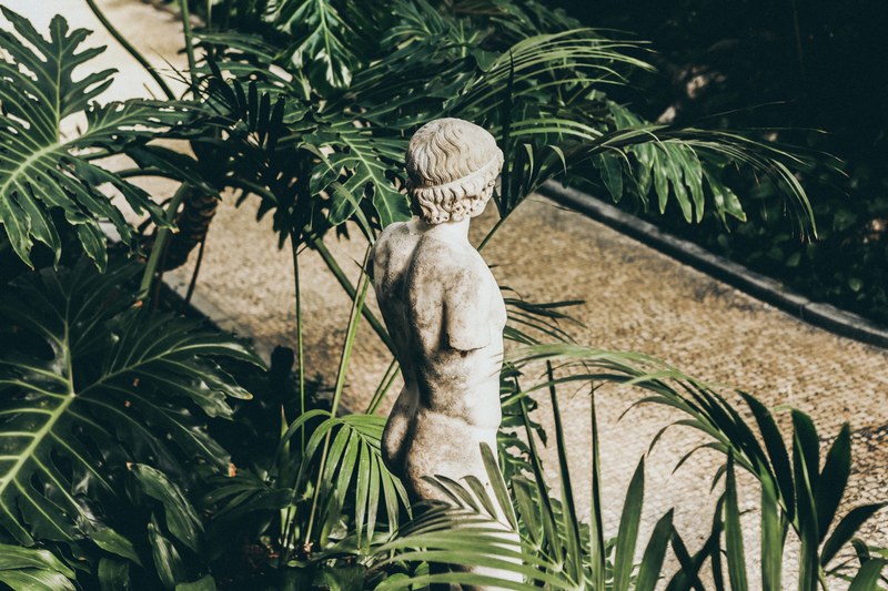 statue monument leaf and fern 4k