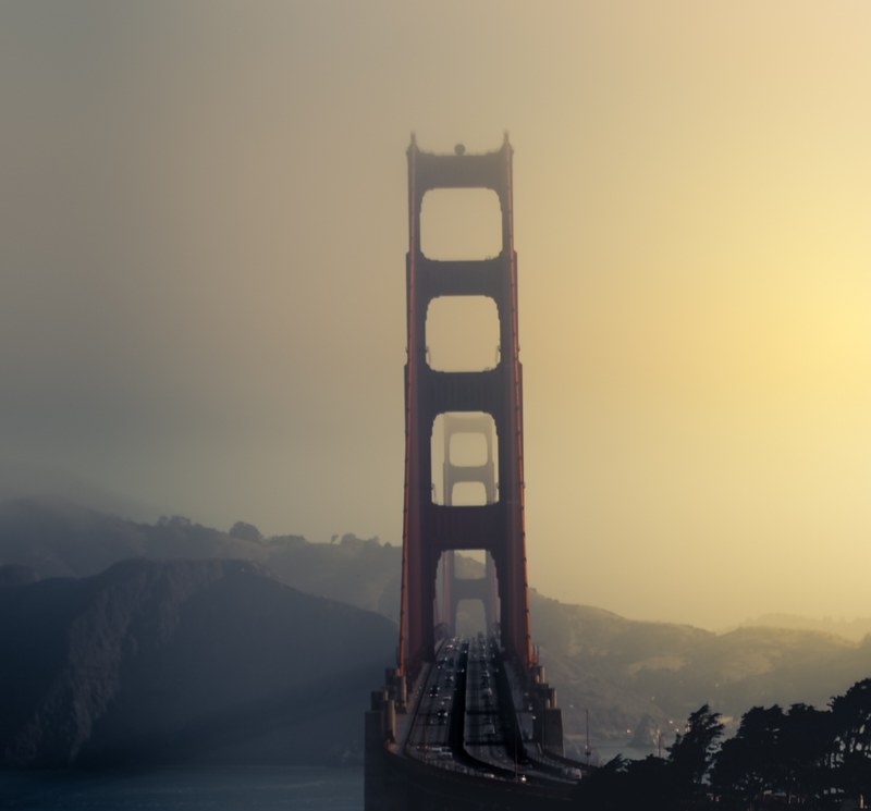 golden mornings 4k