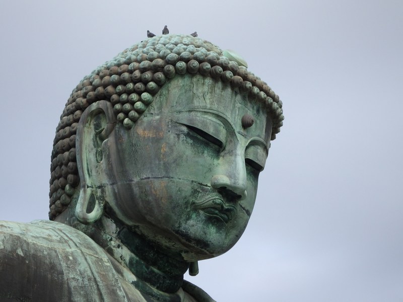 a large statue at a buddhist temple, _birds on buddha 4k