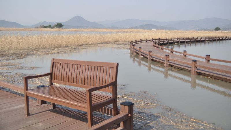 bench, river, grass, bay, 4k