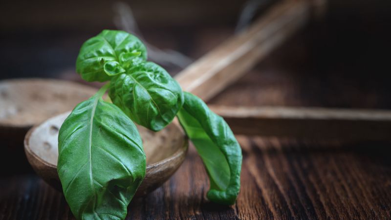 basil, herbs, kitchen utensils, 4k