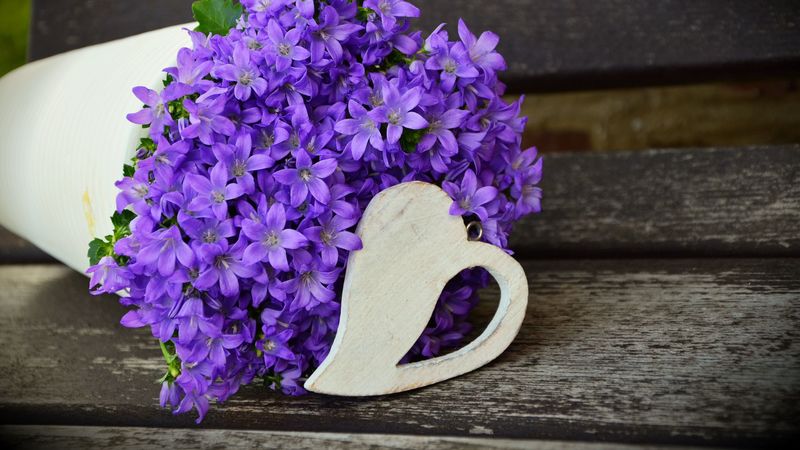 flowers, purple, bouquet, 4k