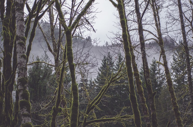 lost and found 4k