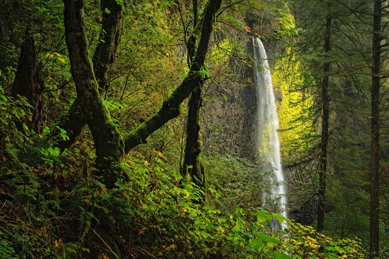 getting a peek of natures beauty 4k