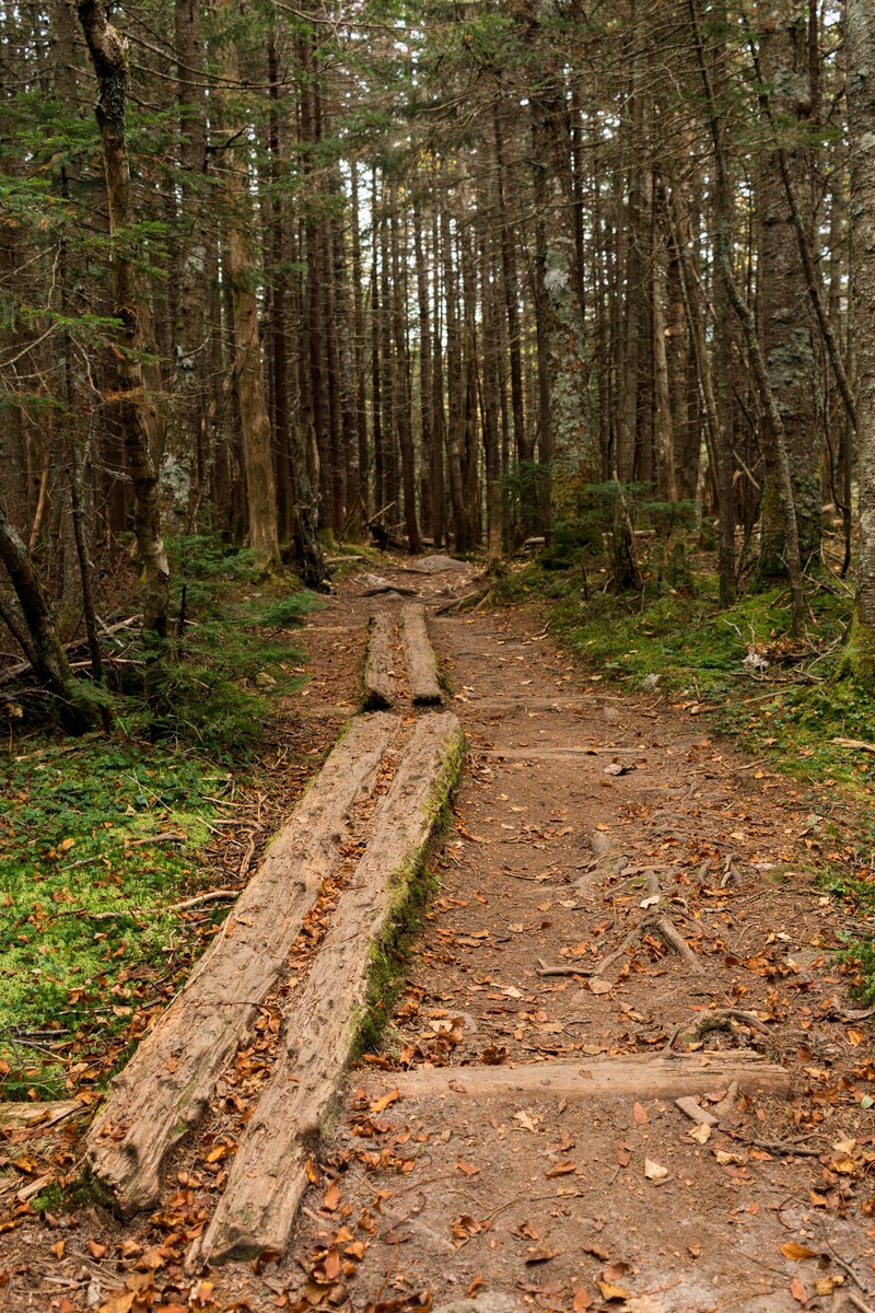 our path 4k