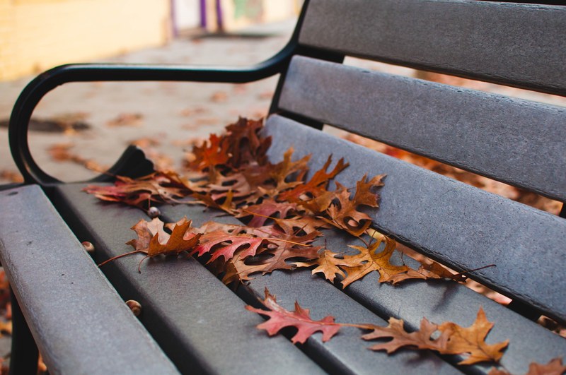 bench handle leaves on bench fall leafe and red leafe 4k