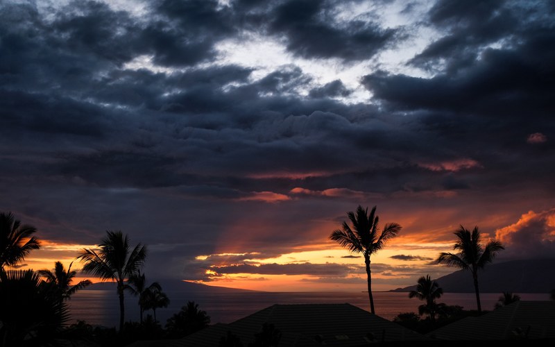 a cloudy sunset over silhouetted palm trees and hills at wailea makena, cloudy sunset over the palm trees 4k