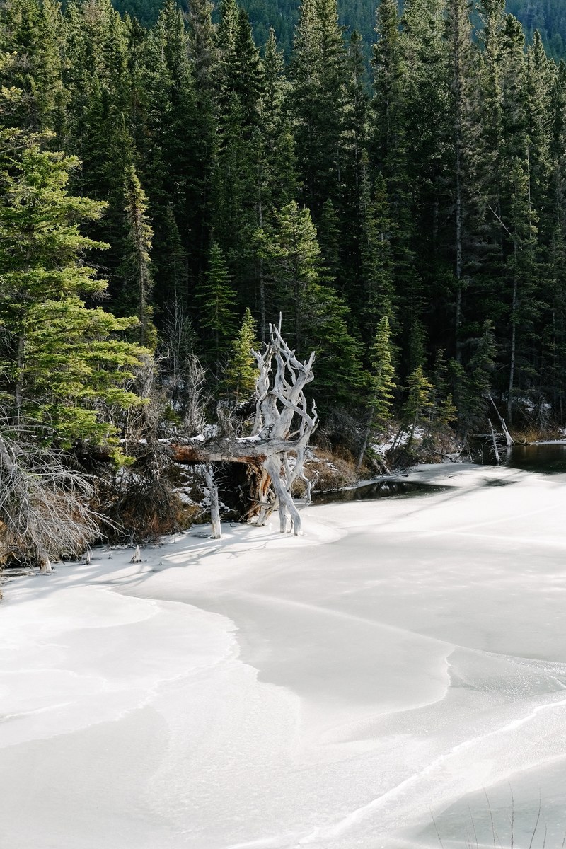 lake snow ice and frozen hd, 4k