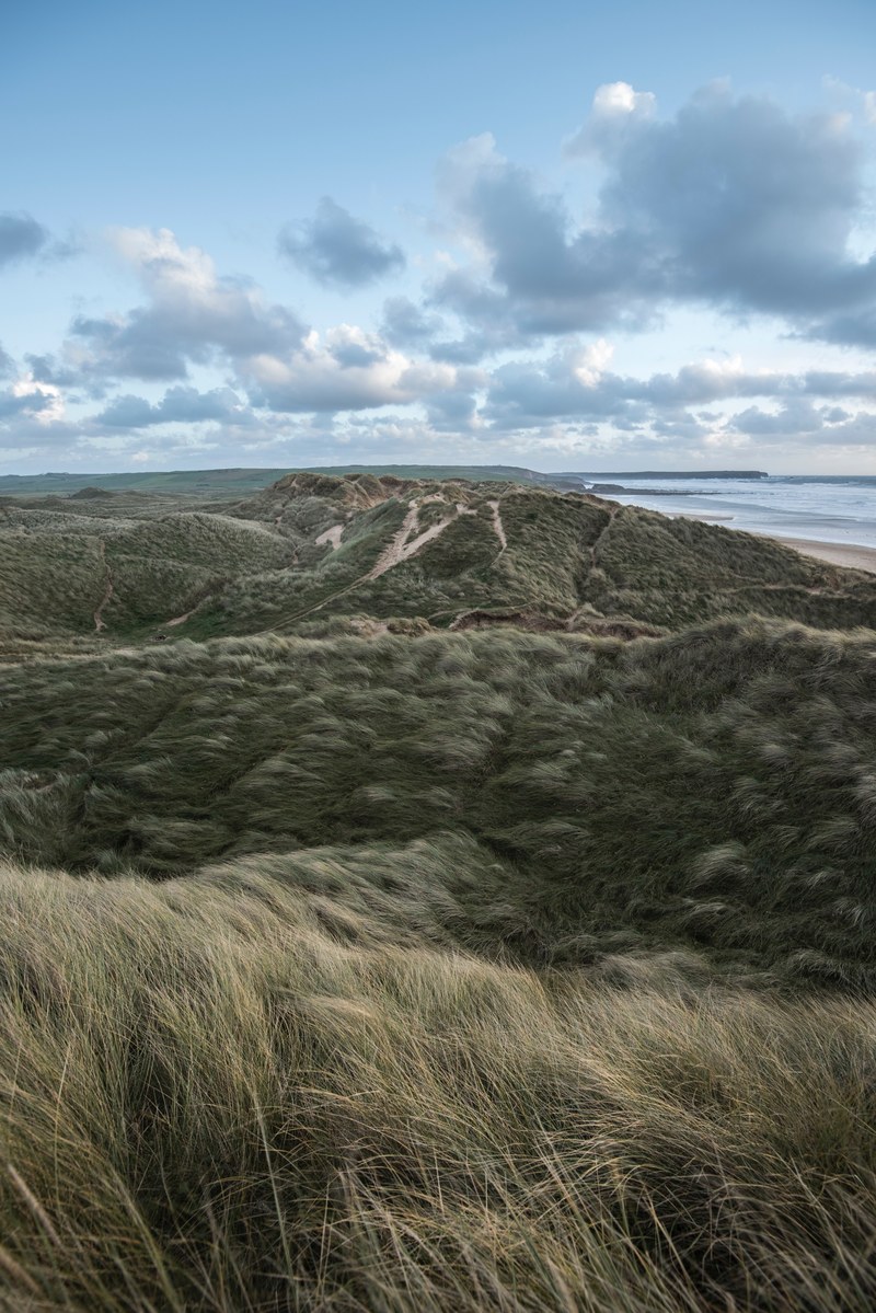 grass dune and beach hd, 4k