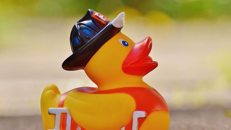 rubber duck, duck, toy, 4k