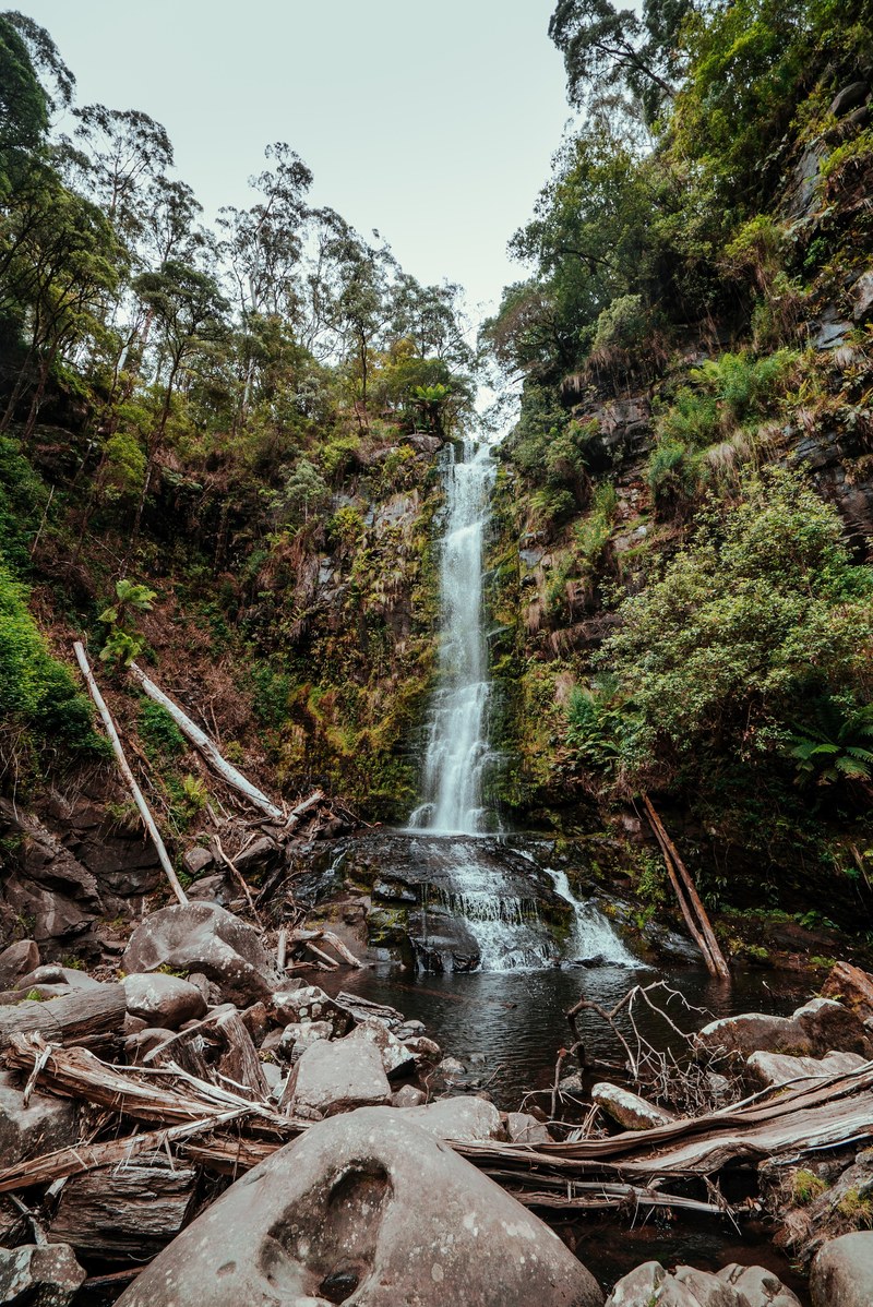 waterfall cascade wood and pool hd, 4k