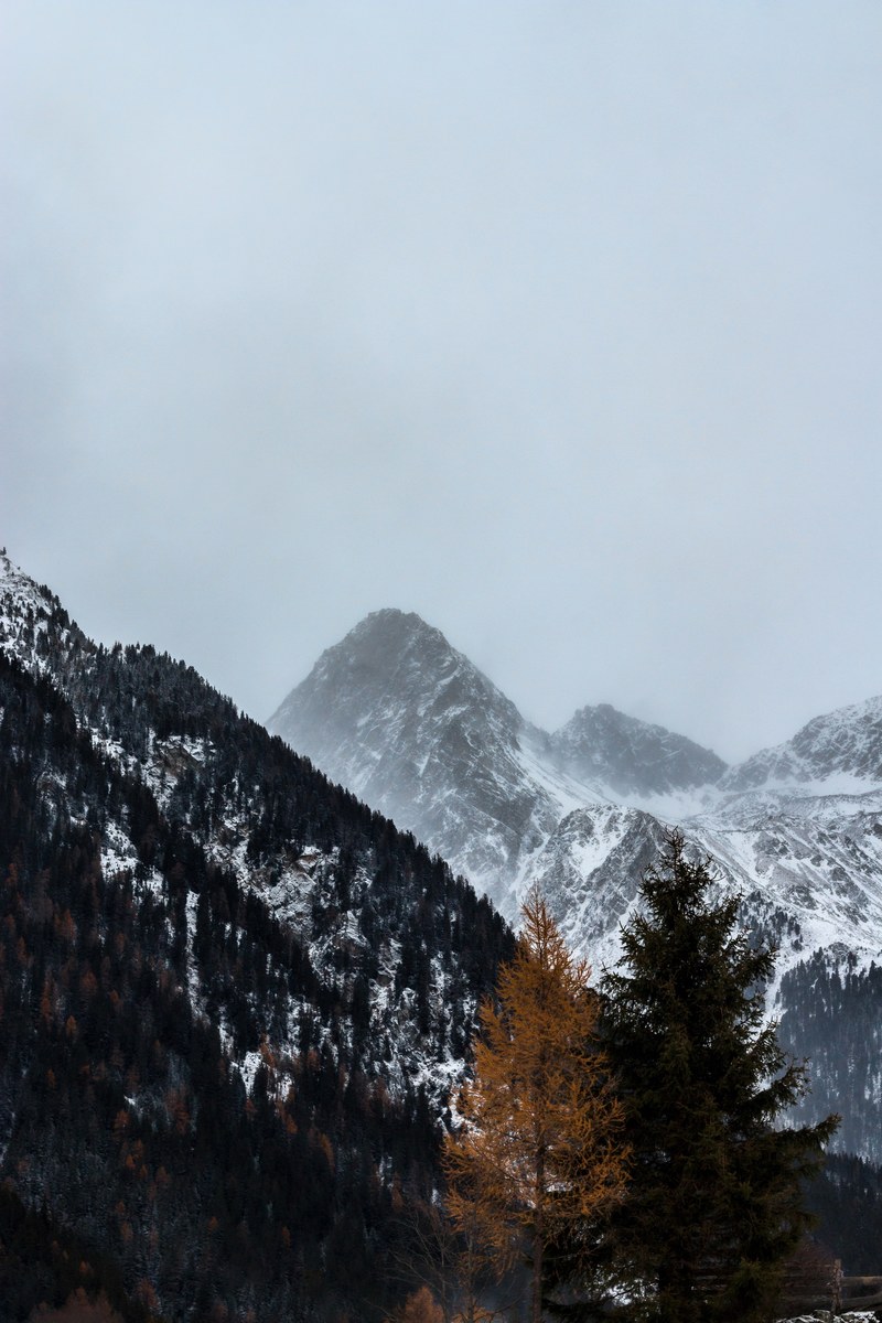 windy and cold 4k