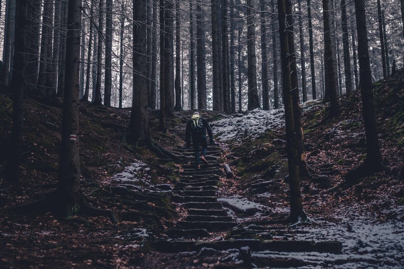 lost in the czech switzerland 4k
