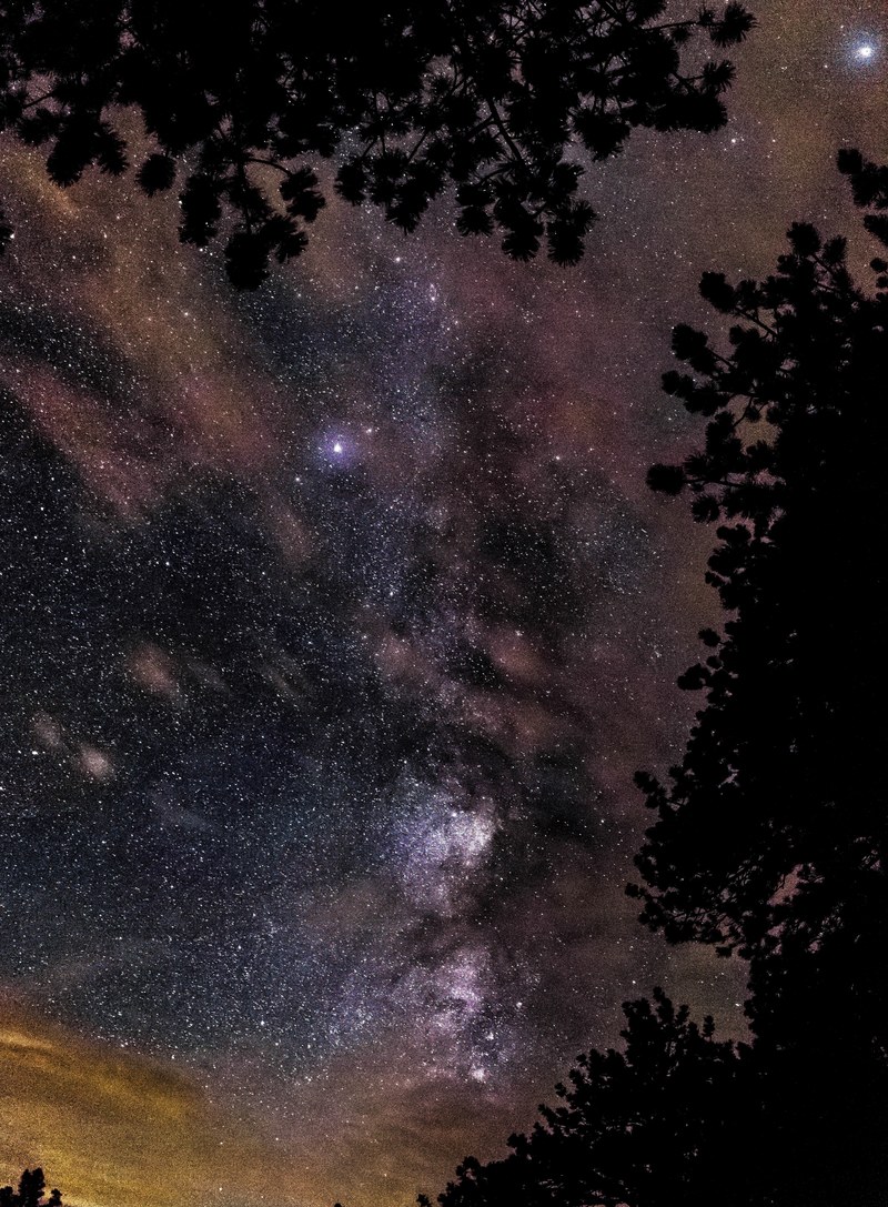 the milky way rises above the silhouette of trees at rocky mountain national park, _milky way rocky mountain 4k