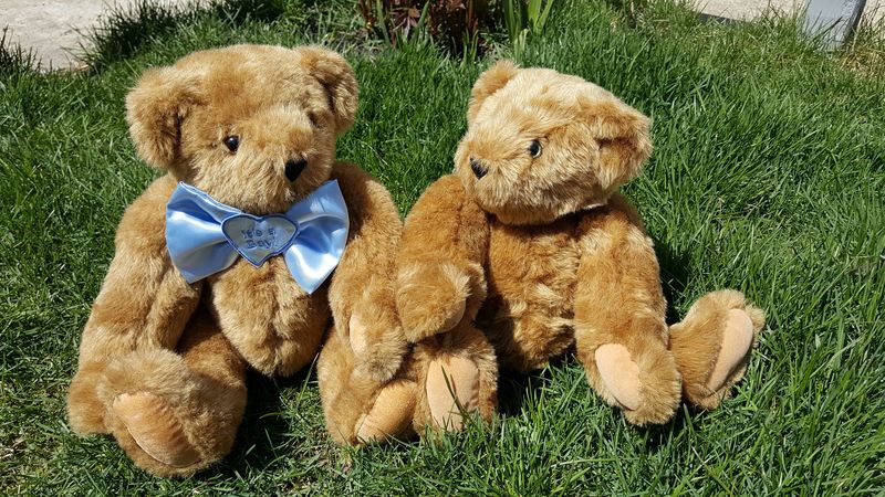 teddy bears, toys, couple, grass, 4k