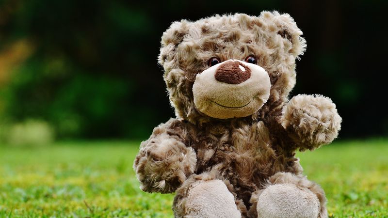 bear, toy, grass, 4k