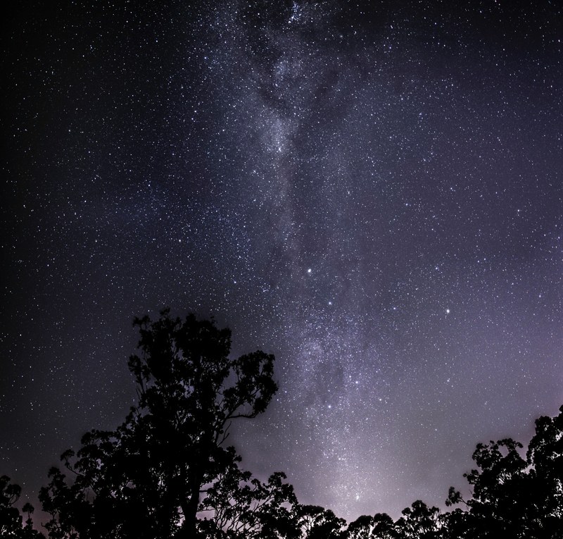 the milky way and starry night sky over the silhouette of trees, night sky 4k