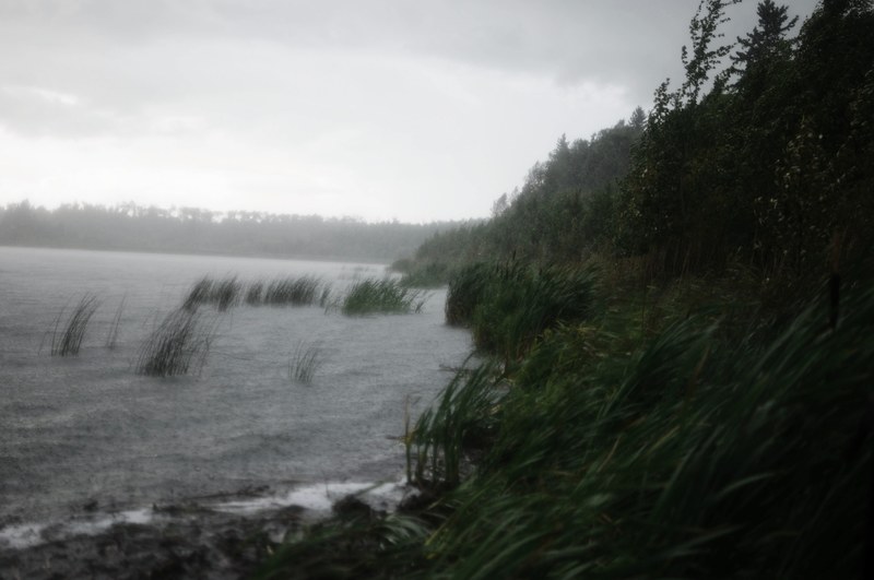 albertum mood lake and shore 4k