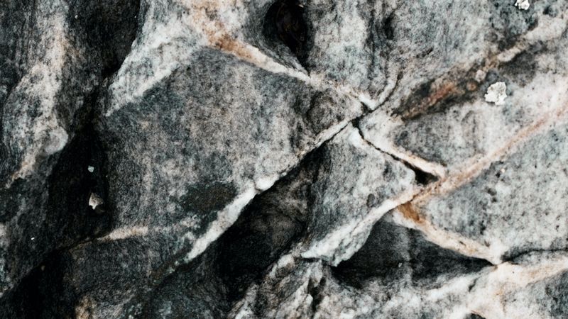 stone, fossil, relief, 4k