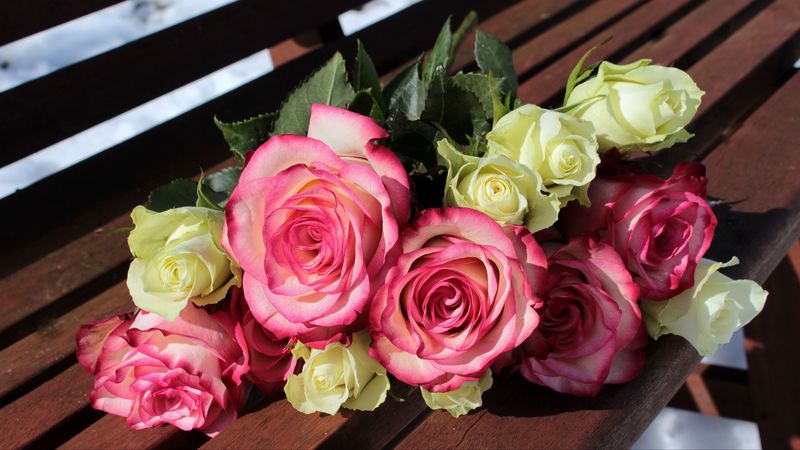 roses, bouquet, bench, buds, 4k
