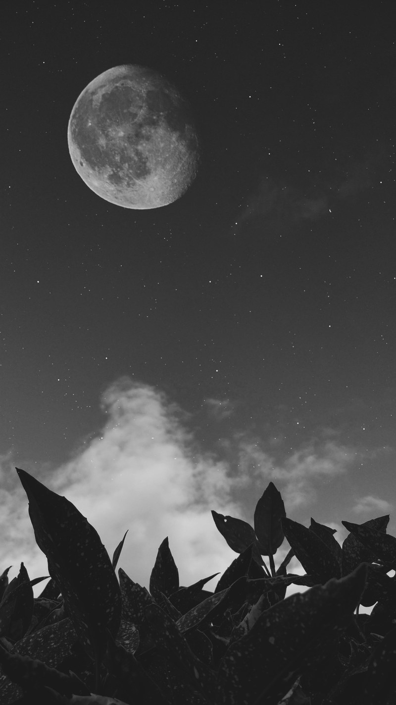 a large white moon in the sky, _large white moon 4k