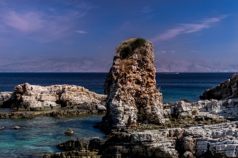 blog lovely tree and travel 4k