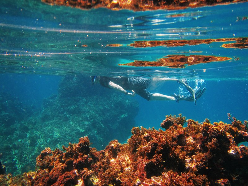 coral water ocean and vacation 4k