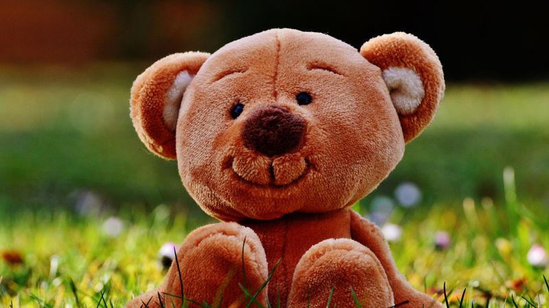 teddy bear, toy, grass, 4k