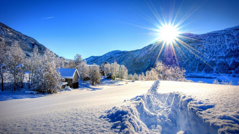 nature, forest, dawn, winter, mountains, 4k