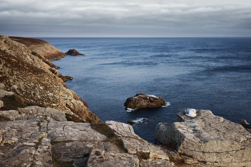 rock water ocean and sea 4k
