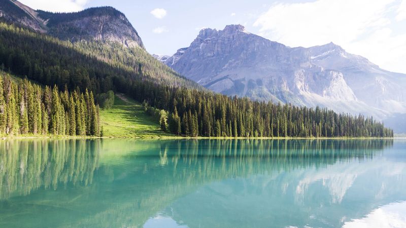 mountains, landscape, trees, lake peyto, 4k