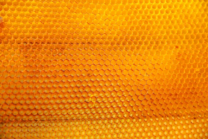 a yellow bubble texture pattern, _yellow texture background 4k