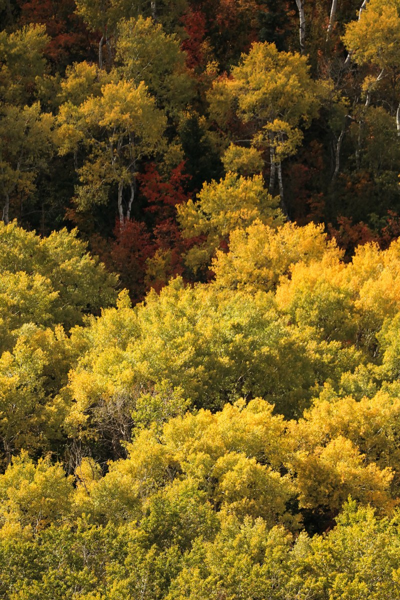 patrick hendry depth autumn 4k