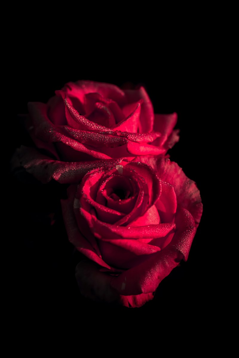 blackout blajan alex and unsplash hd, 4k