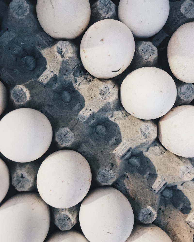 organic farm eggs 4k