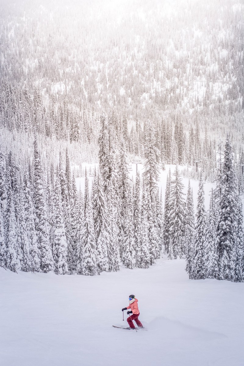a person walking with skis in the open on a ski hill near heavily treed winter forests, winter fun 4k