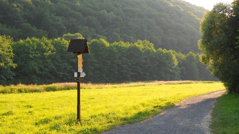 meadow, grass, road, sign, trees, 4k